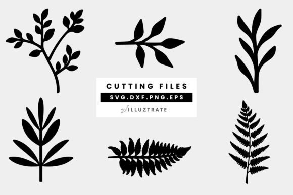 Download Leaf SVG Cut File | Leaves Cutting Files - Leaves Collection